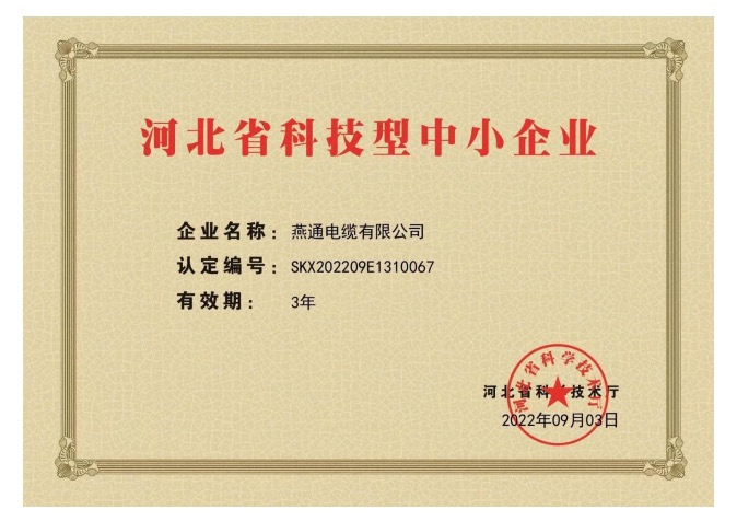 科技型中小企業(yè)